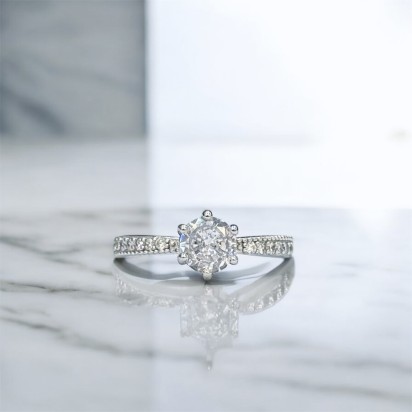 Product 1652 - Image 1