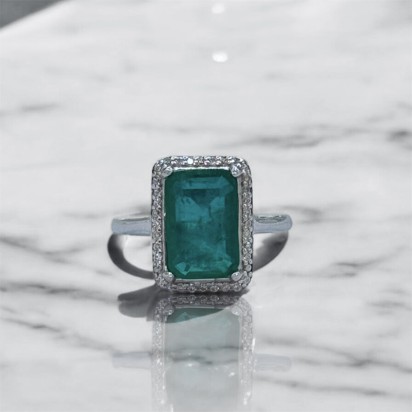 Product 1662 - Image 1