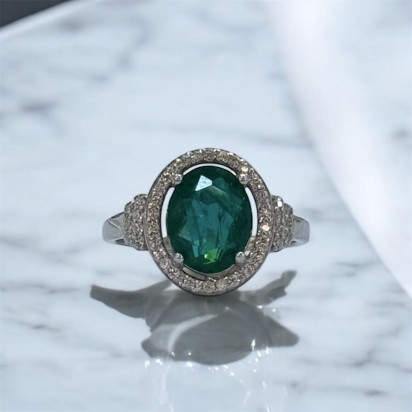 Product 1663 - Image 1