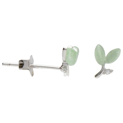 Product 1905 - Image 1